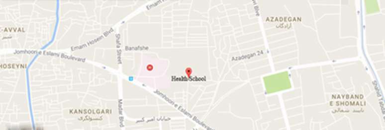 google map image
